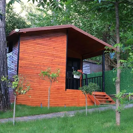 Robina Bungalov * Olympos