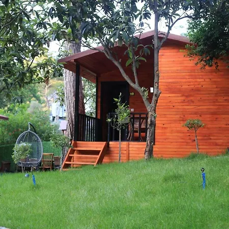 Hotel Robina Bungalov Olympos