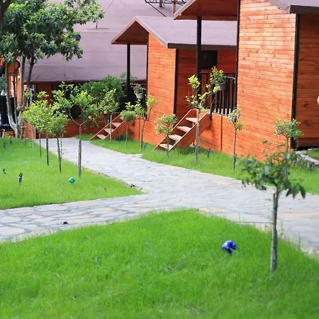 Robina Bungalov *