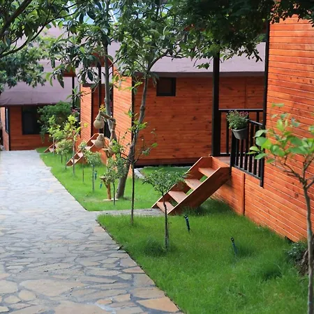 Hotel Robina Bungalov