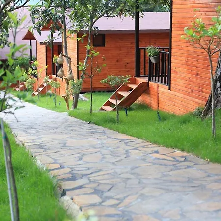 Robina Bungalov *