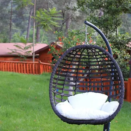 Hotel Robina Bungalov Olympos