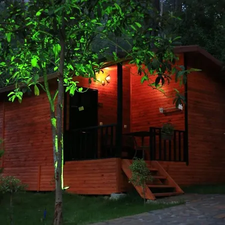 Robina Bungalov Hotel *