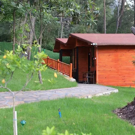 Hotel Robina Bungalov Olympos