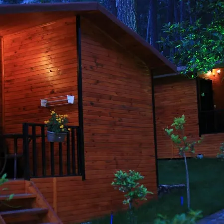 Robina Bungalov