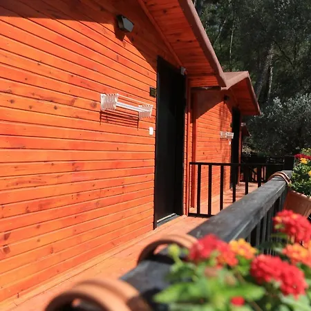Hotel Robina Bungalov