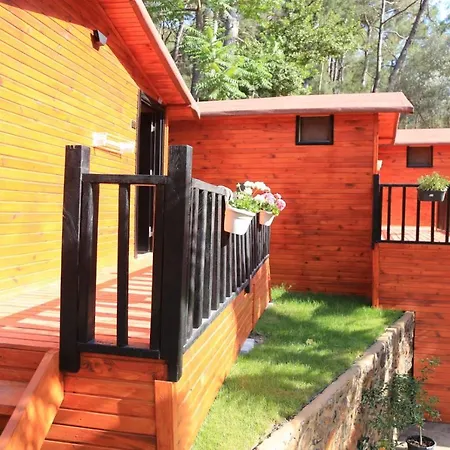 Hotel Robina Bungalov